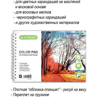 Альбом для творчества для цветных карандашей на масляной основе ACMELIAE А4, плотность 160 г, 30 л 44024