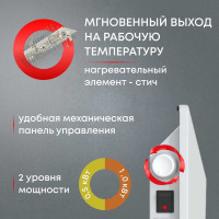 Электрический конвектор Zeder серия Buddy, механическое управление 10MS-01