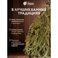 Берёзовый веник Банные Штучки с эвкалиптом в упаковке 32101