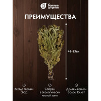 Берёзовый веник Банные Штучки с эвкалиптом в упаковке 32101
