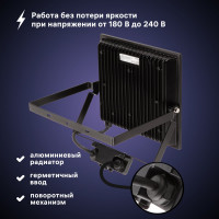 Светодиодный прожектор RITTER серия PROFI 230В 100 Вт 6500К 10000Лм IP65 черный с датчиком движения 53424 6