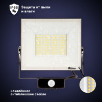 Светодиодный прожектор RITTER серия PROFI 230В 100 Вт 6500К 10000Лм IP65 черный с датчиком движения 53424 6