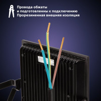 Светодиодный прожектор RITTER серия PROFI 230В 100 Вт 6500К 10000Лм IP65 черный с датчиком движения 53424 6