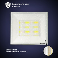 Светодиодный прожектор RITTER серия PROFI 230В 150 Вт 6500К 15000Лм IP65 черный 53411 6