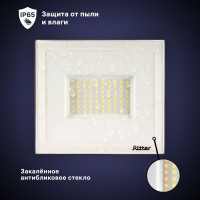 Светодиодный прожектор RITTER серия PROFI 230В 70 Вт 6500К 7000Лм IP65 черный 53409 3