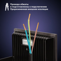 Светодиодный прожектор RITTER серия PROFI 230В 70 Вт 6500К 7000Лм IP65 черный 53409 3