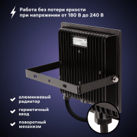 Светодиодный прожектор RITTER серия PROFI 230В 100 Вт 6500К 10000Лм IP65 черный 53410 9