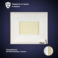 Светодиодный прожектор RITTER серия PROFI 230В 100 Вт 6500К 10000Лм IP65 черный 53410 9