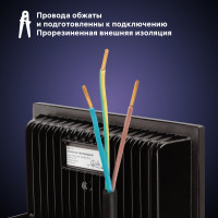 Светодиодный прожектор RITTER серия PROFI 230В 100 Вт 6500К 10000Лм IP65 черный 53410 9
