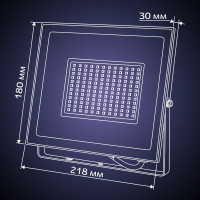 Светодиодный прожектор RITTER серия PROFI 230В 100 Вт 6500К 10000Лм IP65 черный 53410 9