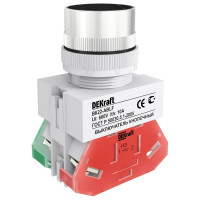 Выключатель кнопочный DEKraft ВК-22, 10 А, IP54 25012DEK