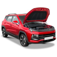 Газовые упоры капота для jac js4 2022-н.в./москвич 3/3e 2022-н.в., 2 шт АвтоУпор UJAJS4011