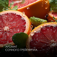 Гель для мытья посуды JERMiNAL Грейпфрут ПЭТ 5л 23335143