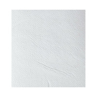 Бумага туалетная д/дисп Luscan PROFESSIONAL Luscan Professional 2сл бел вт см 250л 30пач/уп 1519337