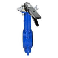 Дисковый поворотный затвор DN.ru GG25-316L-NBR Ду40 Ру16 с рукояткой D050-08975