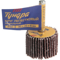 ТУНДРА Круг лепестковый радиальный , 30x20x6 мм, Р40 5162348