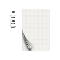 Блокнот для флипчарта OfficeSpace 67,5х98 см, 10 листов, клетка, 80 г/м2 257321