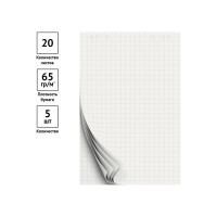 Блокнот для флипчарта OfficeSpace 60х90 см, 20 листов, клетка, бюджет 257324