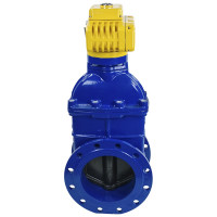 Задвижка DN.ru 30ч939р GGG50-EPDM-F4-BLUE Ду250 Ру10 электропривод MT-220 220В D040-00802