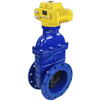 Задвижка DN.ru 30ч939р GGG50-EPDM-F4-BLUE Ду250 Ру10 электропривод MT-220 220В D040-00802