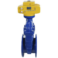 Задвижка DN.ru 30ч939р GGG50-EPDM-F4-BLUE Ду250 Ру10 электропривод MT-220 220В D040-00802