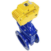 Задвижка DN.ru 30ч939р GGG50-EPDM-F4-BLUE Ду250 Ру10 электропривод MT-220 220В D040-00802