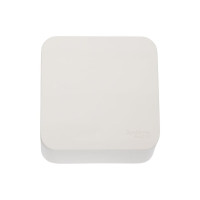 1-клавишный выключатель Systeme Electric Blanca наружный, Молочный, 6А, 250В SE BLNVA061002