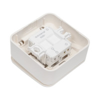 1-клавишный выключатель Systeme Electric Blanca наружный, Молочный, 6А, 250В SE BLNVA061002