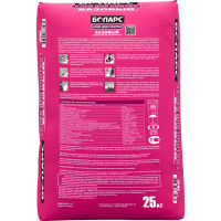 Клей для плитки БОЛАРС Базовый 25 кг, класс C0 00000003737