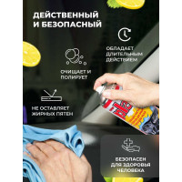 Полироль салона PLAK Лимон 750 мл аэрозоль 5160