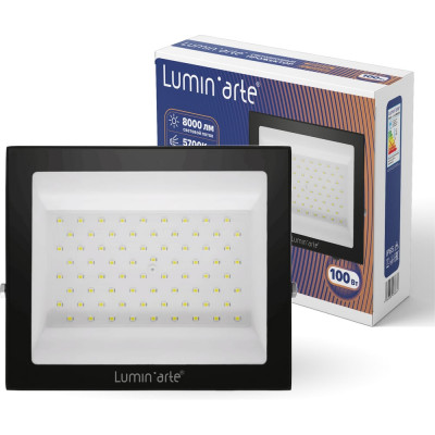 Светодиодный прожектор Lumin'arte 100вт 5700к ip65 8000лм черный LFL-100W/06