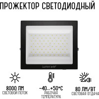 Светодиодный прожектор Lumin'arte 100вт 5700к ip65 8000лм черный LFL-100W/06
