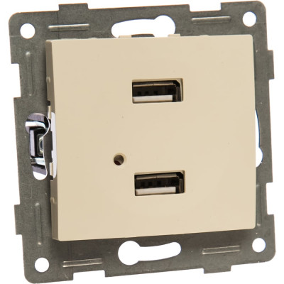 Двойная розетка usb GUSI Electric Bravo С10USB2-003