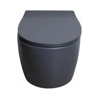 Чаша подвесного унитаза ALLEN BRAU Fantasy 4.11004.AN 00269464