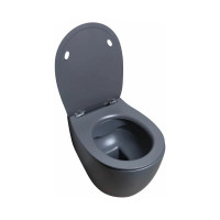 Чаша подвесного унитаза ALLEN BRAU Fantasy 4.11004.AN 00269464