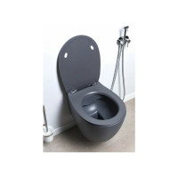 Чаша подвесного унитаза ALLEN BRAU Fantasy 4.11004.AN 00269464