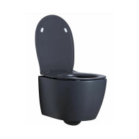 Чаша подвесного унитаза ALLEN BRAU Fantasy 4.11004.AN 00269464