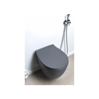 Чаша подвесного унитаза ALLEN BRAU Fantasy 4.11004.AN 00269464