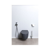 Чаша подвесного унитаза ALLEN BRAU Fantasy 4.11004.AN 00269464