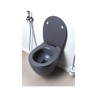 Чаша подвесного унитаза ALLEN BRAU Fantasy 4.11004.AN 00269464