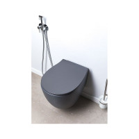 Чаша подвесного унитаза ALLEN BRAU Fantasy 4.11004.AN 00269464