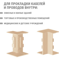 Внутренний угол TDM ELECTRIC КМВ, сосна, 40х16 упаковка 4 шт SQ0411-0224