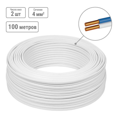 Провод TDM ELECTRIC ПВВП, 2x4, ГОСТ, 100м, белый SQ0127-0254