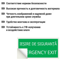 Знак "ЗАПАСНЫЙ ВЫХОД" TDM ELECTRIC 200х100мм (румынский язык), в упаковке 10 штук SQ0817-0076