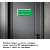 Знак "ЗАПАСНЫЙ ВЫХОД" TDM ELECTRIC 200х100мм (румынский язык), в упаковке 10 штук SQ0817-0076