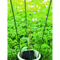 Поддержка для цветов 4 кольца 1,2м GREEN APPLE Б0008279