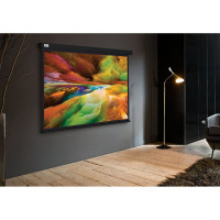 Настенно-потолочный рулонный экран CACTUS 206x274 см Wallscreen CS-PSW-206x274-BK 4:3 черный 1678337