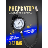 Индикатор для проверки давления в шинах Forsage 0-12 bar F-SDG-17(57005)