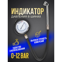 Индикатор для проверки давления в шинах грузовых а/м Forsage 0-12 bar F-SDG-20(57003)