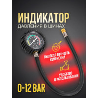 Индикатор для проверки давления в шинах Forsage 0-12 bar F-SDG-09(57007)